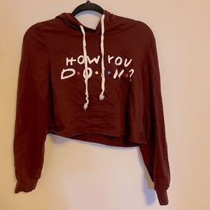 Friends “How you doing?” Cropped sweater